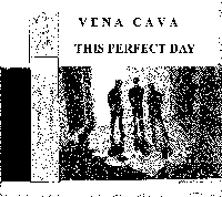 Vena Cava 2